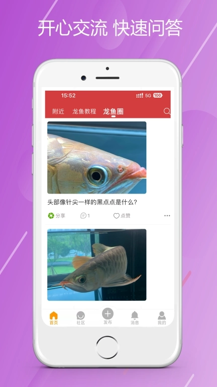 龙族-龙鱼兴趣社区