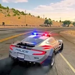警车极限追击-真实警车