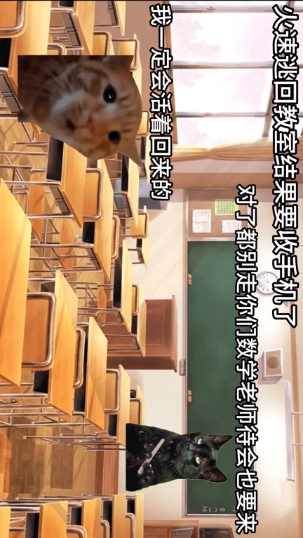 猫猫惊魂夜-猫meme校园历险