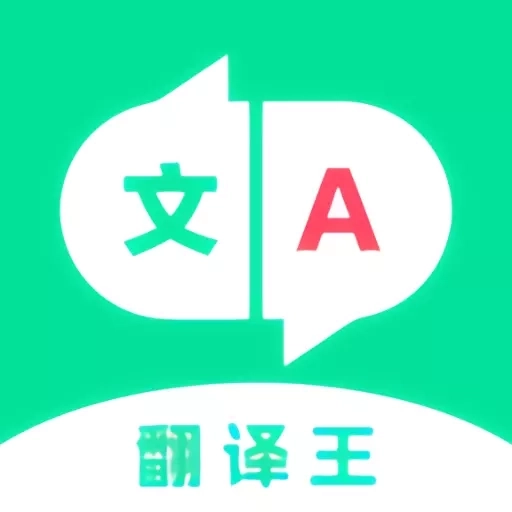 翻译王