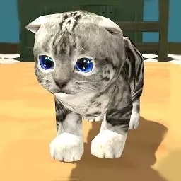 萌猫乐园-真实可爱小猫模拟