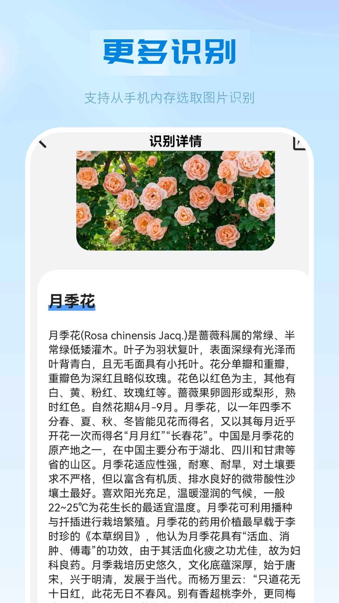 万能扫描识别王