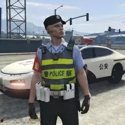 战争武装运输-真实警察模拟器