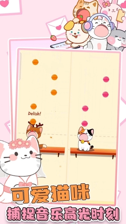 音浪-猫咪的二重奏