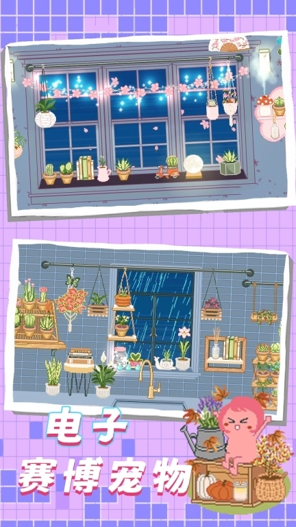 梦幻乐园-窗口放置花园
