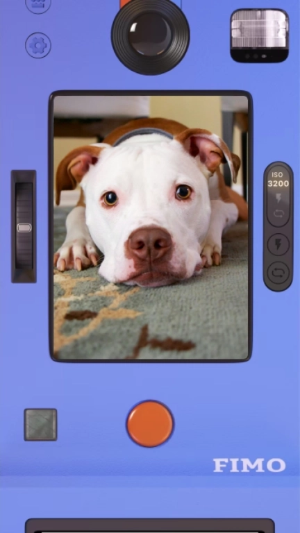 FIMO-复古胶卷相机