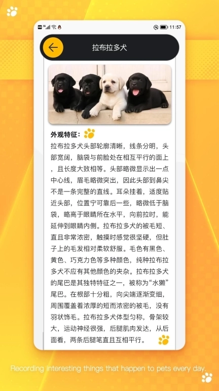 萌宠乐园-宠物记事助手