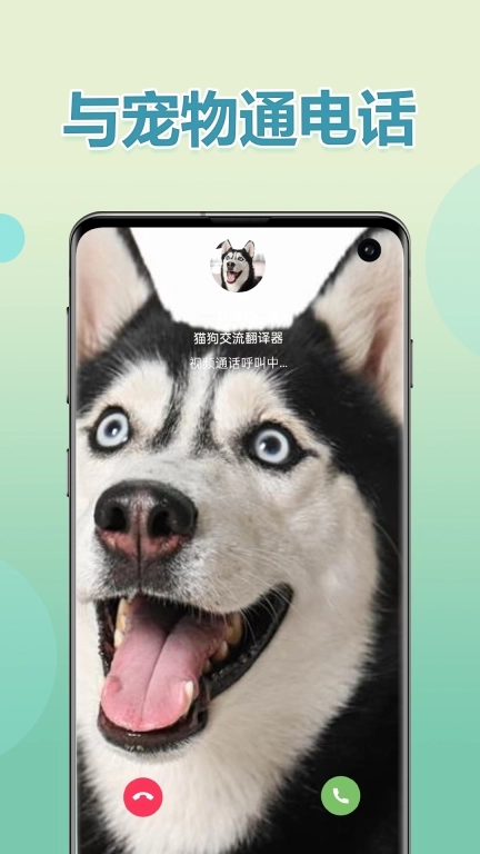 猫狗交流翻译器-宠物翻译器