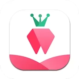 树莓小说阅读器-阅读器