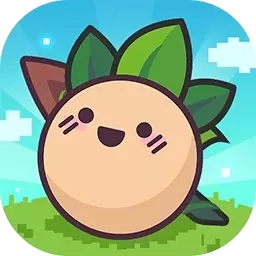 大头菜菜历险记