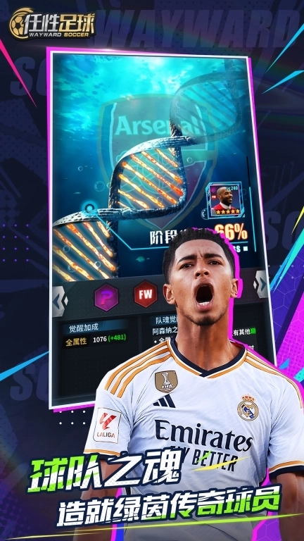 任性足球-2026新征程开启