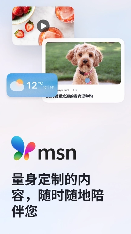 MSN