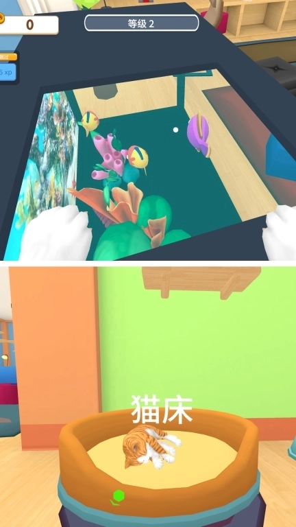 恶作剧大师-猫咪大乱斗