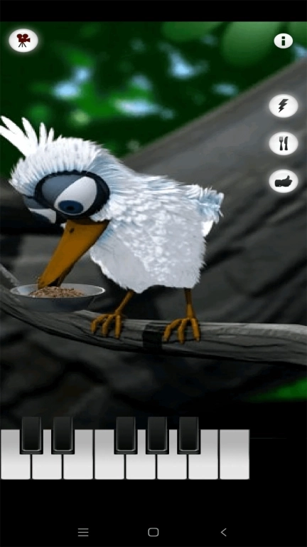 暴怒的小鸟-会说话的拉里鸟