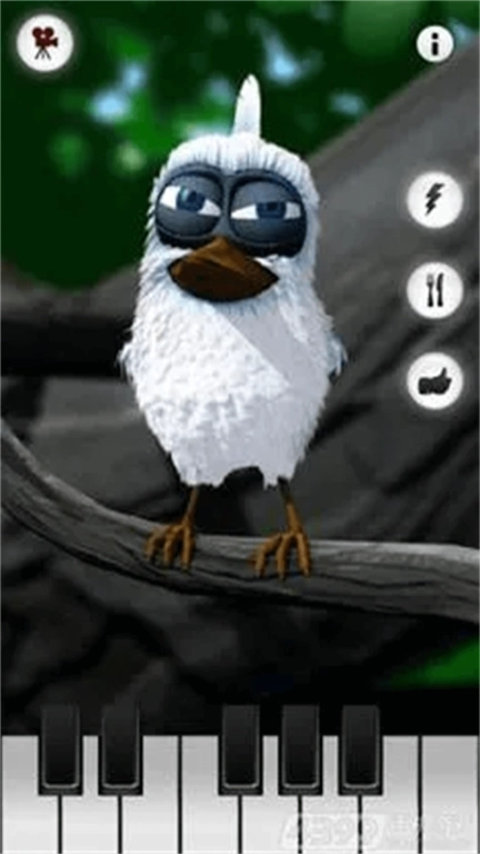 暴怒的小鸟-会说话的拉里鸟