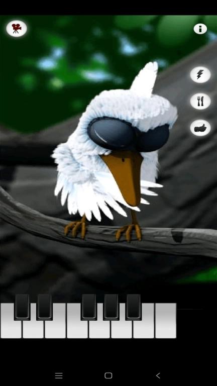 暴怒的小鸟-会说话的拉里鸟