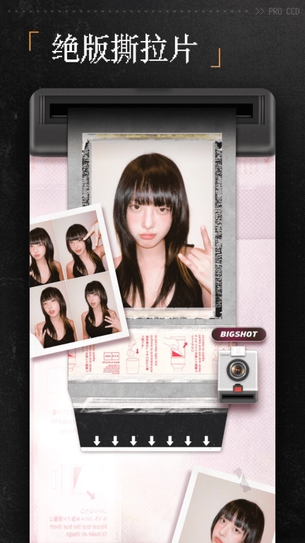 ProCCD复古CCD相机