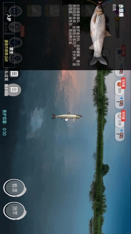 俄罗斯钓鱼-真实海钓模拟器