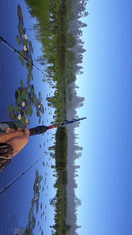 俄罗斯钓鱼-真实海钓模拟器