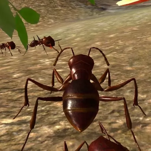 蚂蚁模拟器