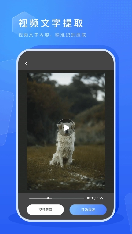 虚拟摄像头-绿幕直播助手