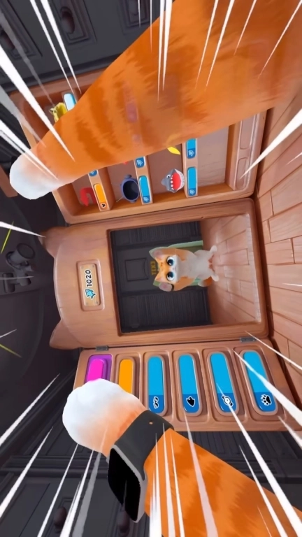 疯狂躲猫猫-我是猫喵喵喵