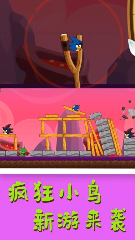 疯狂小鸟-打败猪头