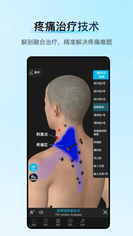 解剖大师-精细好用综合性3D解剖