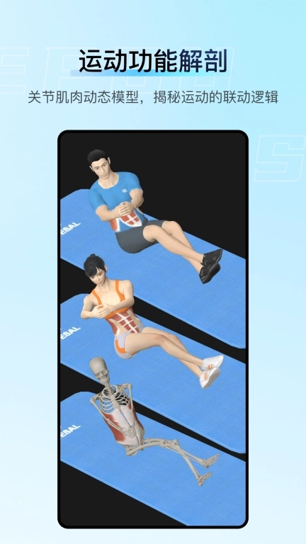 解剖大师-精细好用综合性3D解剖