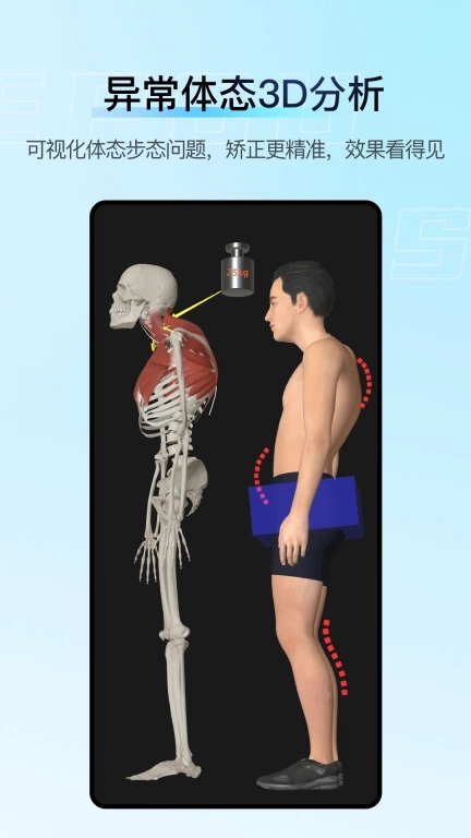 解剖大师-精细好用综合性3D解剖