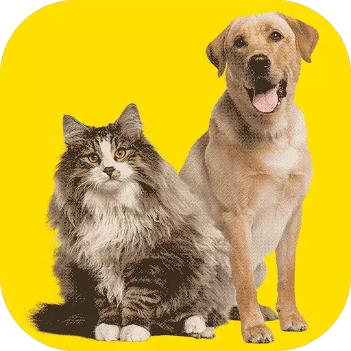 人猫人狗交流器-猫狗助手