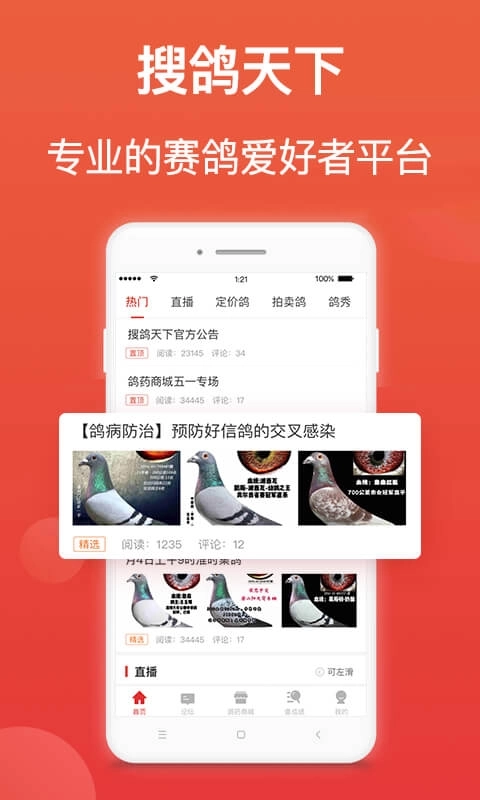 搜鸽天下-赛鸽头条重磅升级