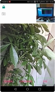 慧眼卫士-手机监控