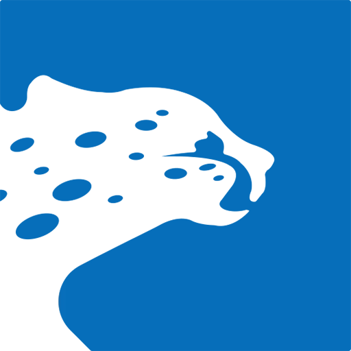 飞豹出行司机端