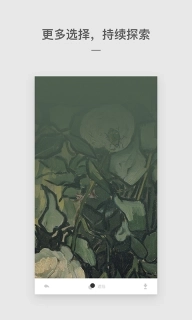 Cutisan壁纸-壁纸精选与制作