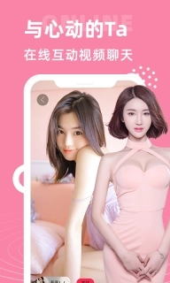 大象视频聊天-陌生人约会交友