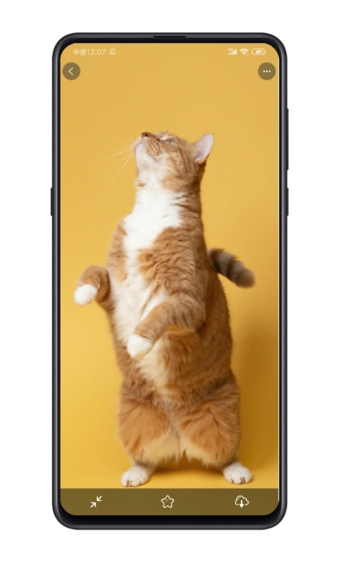 星塘图集-小而美的壁纸应用