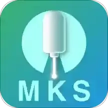 MKS Laser