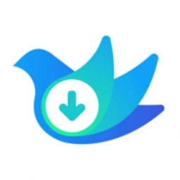 云雀视频助手-idm视频