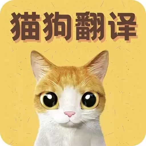 猫语翻译宝