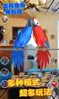 虚拟宠物模拟器-鹦鹉养成记