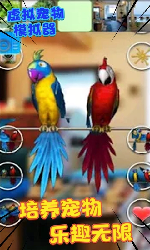虚拟宠物模拟器-鹦鹉养成记