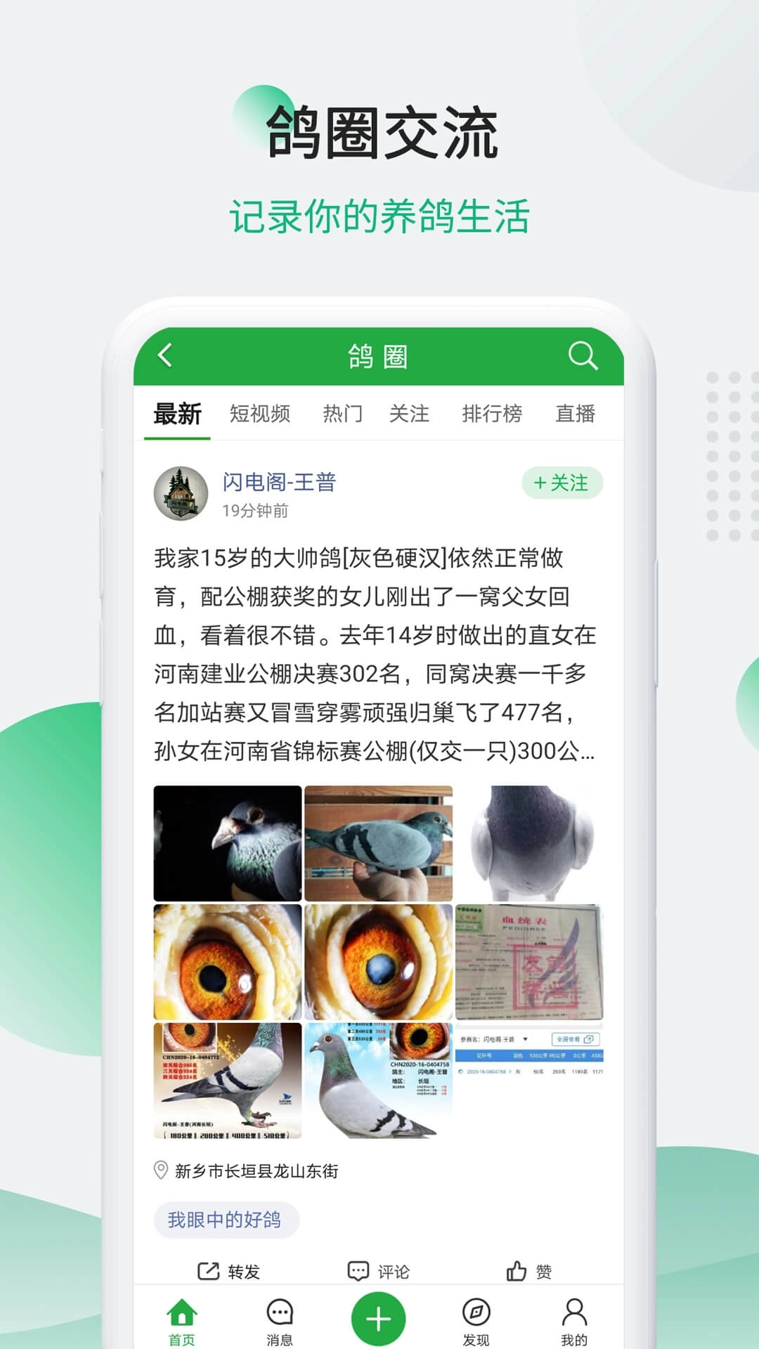 中信网-信鸽信息网