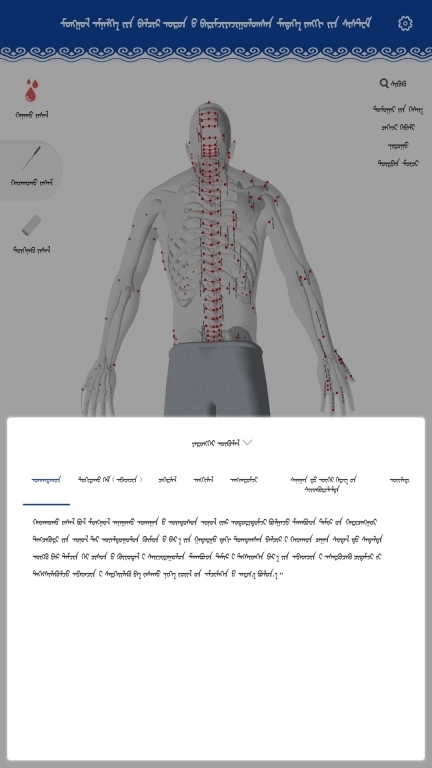 蒙医穴位标准化信息系统