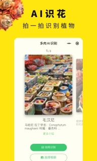 多肉圈-多肉社区