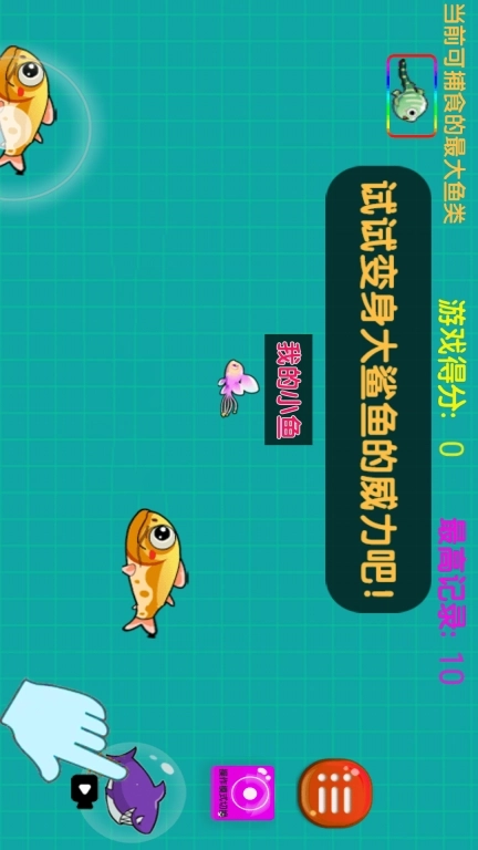 大鱼吃小鱼大作战