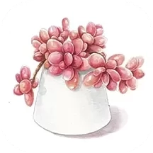 多肉花草成长日记-养花养草养多肉