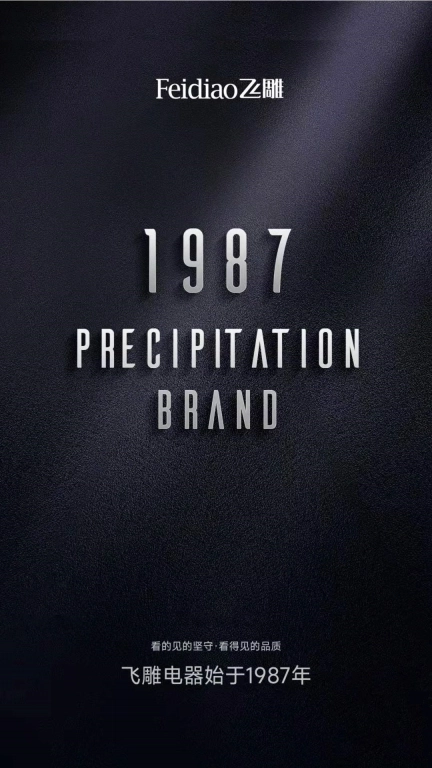 飞雕智家-飞雕电器