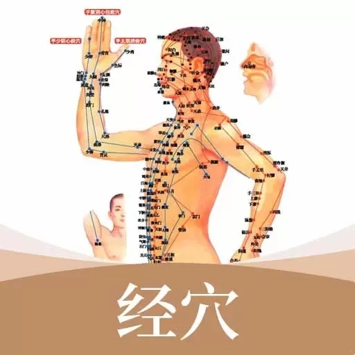 经络穴位标准指南