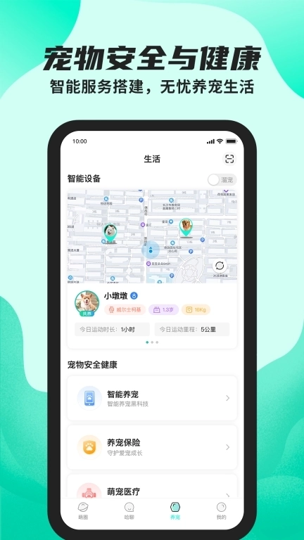 陌哈陌哈-记录宠物铲屎官的日常